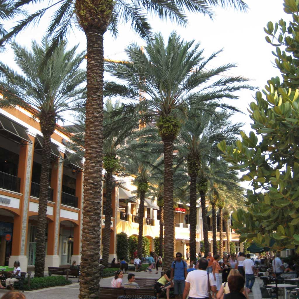 CityPlace