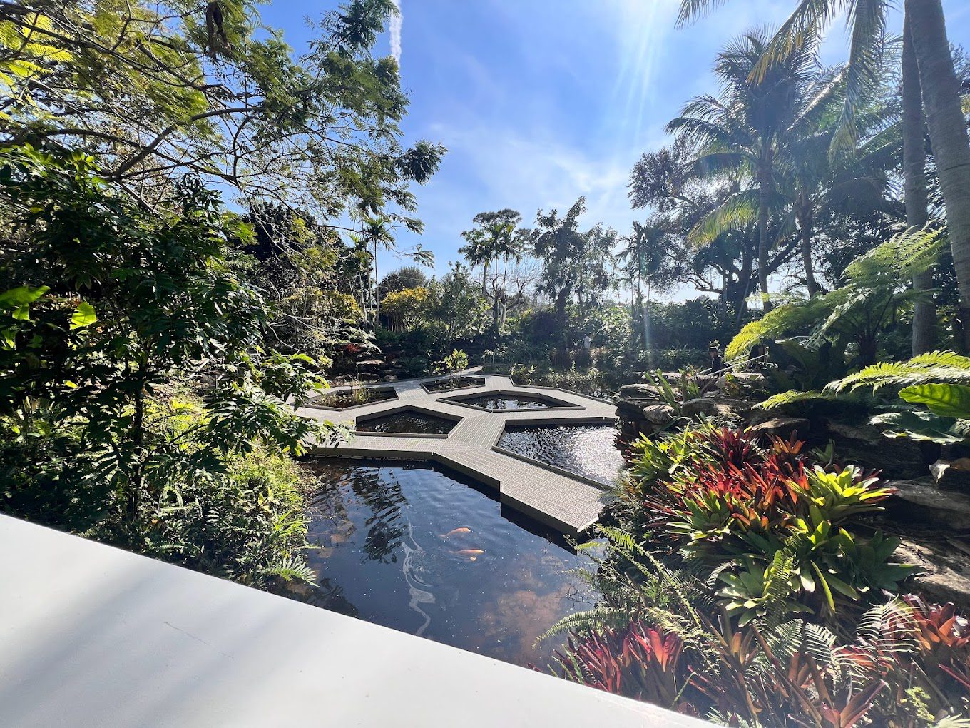 Mounts Botanical Garden